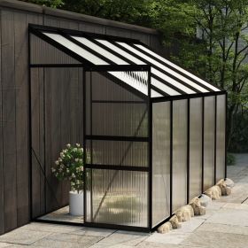 Greenhouse Anthracite Aluminum 220 ft¬≥