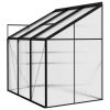 Greenhouse Anthracite Aluminum 134.2 ft¬≥