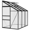 Greenhouse Anthracite Aluminum 134.2 ft¬≥