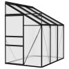 Greenhouse Anthracite Aluminum 134.2 ft¬≥