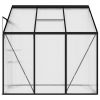 Greenhouse Anthracite Aluminum 134.2 ft¬≥