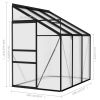 Greenhouse Anthracite Aluminum 134.2 ft¬≥